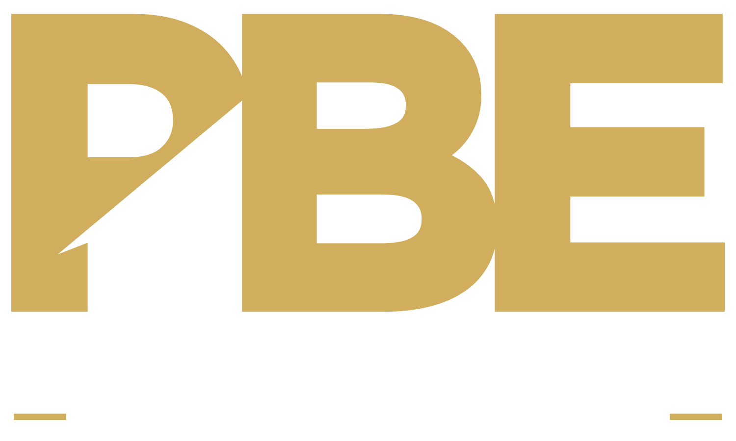 Palm Beach Elite Construction